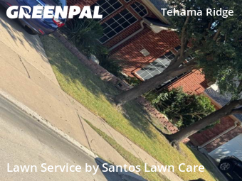 Grass Cut nearby Fort Worth, TX, 