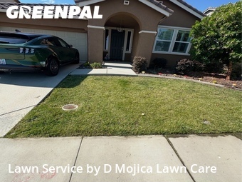 Lawn mowed in Roseville, 95747