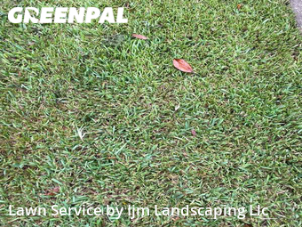 Lawn Cut nearby Kissimmee, FL, 