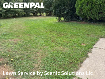 Lawn Mowing Service nearby Middle River, MD, 