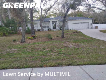 Lawn mowed in Temple Terrace, 33617