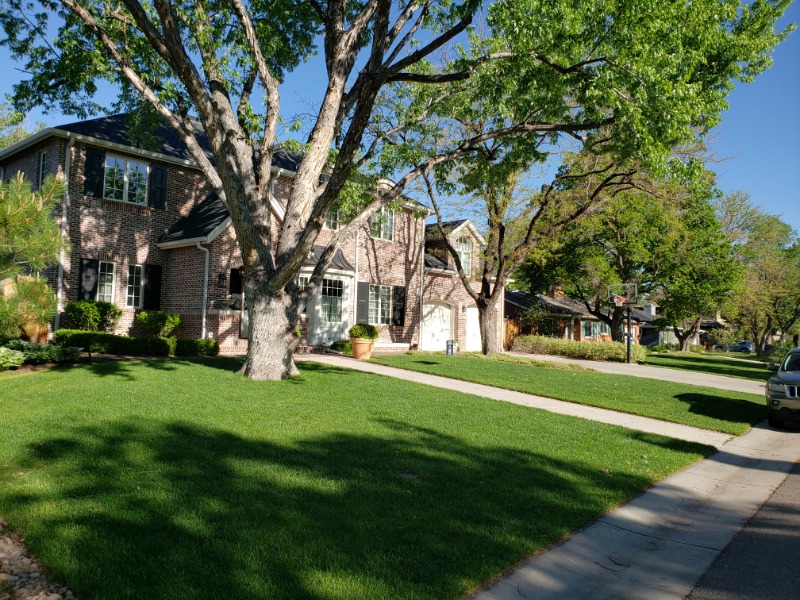 landscaping in pueblo