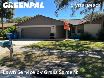Lawn Servicein Palm Harbor,34683,Lawn Cutting by Grass Sargent, work completed in Nov , 2025