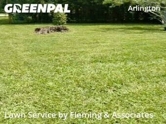 Yard Cutting nearby Jacksonville, FL, 