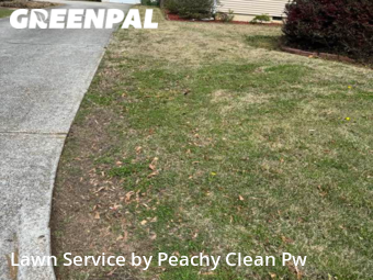 Lawn Mowing nearby Carrollton, GA, 