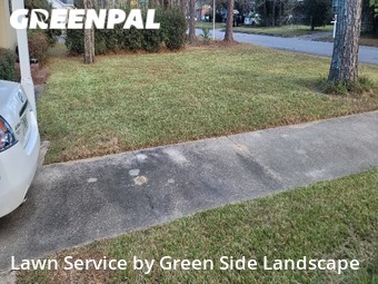 Lawn Cut nearby Albany, GA, 