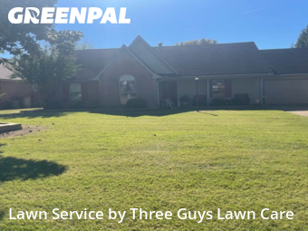 Weed Trimming in Southaven, 38671, Yard Work by Three Guys Lawn Care, work completed in Nov , 2025