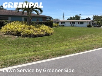 Lawn Cut nearby Venice, FL, 
