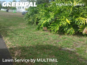 Lawn Mowingin Clearwater,33756,Yard Mowing by MULTIMIL , work completed in Jan , 2026
