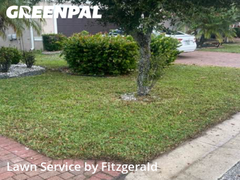 Lawn Care nearby Lake Worth, FL, 