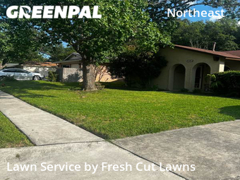 Yard Mowing nearby San Antonio, TX, 