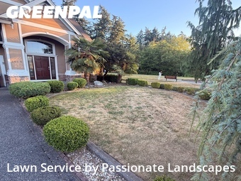 Grass Cutting nearby Federal Way, WA, 