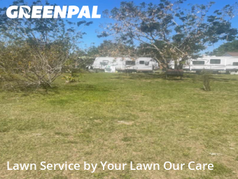 Grass Cutting nearby Wimauma, FL, 