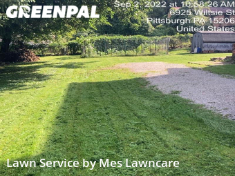 Grass Cut nearby Pittsburgh, PA, 