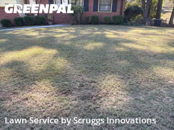 Yard Cutting nearby College Park, GA, 