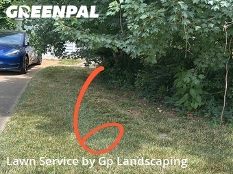 Yard Mowing nearby Fort Mill, NC, 