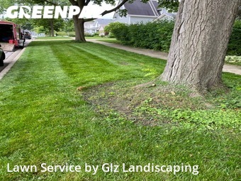 Lawn Maintenance nearby Arlington Heights, IL, 