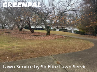 Lawn Cut in Duluth, 30097, Lawn Mowing by Sb Elite Lawn Servic, work completed in 20 Nov, 2025 