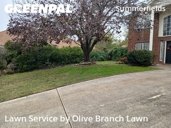 Lawn Mowingin Fort Worth,76137,Lawn Mowing Service by Olive Branch Lawn, work completed in Dec , 2025