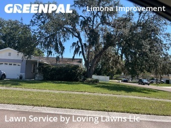 Lawn Mowing Service nearby Brandon, FL, 