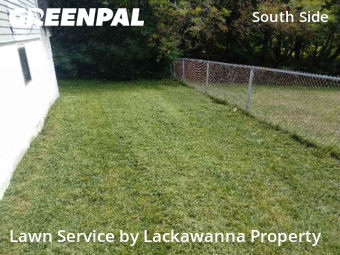 Garden Trimming in Scranton, 18505, Yard Management by Lackawanna Property, work completed in Nov , 2025