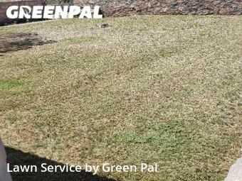 Lawn Maintenance nearby El Paso, TX, 