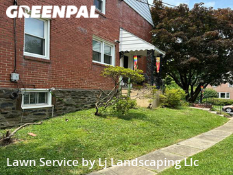 Lawn Cut nearby Drexel Hill, DE, 