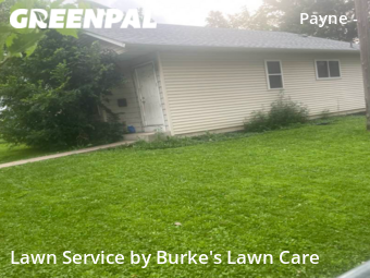 Grass Cut nearby Saint Paul, MN, 