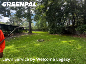 Grass Cut nearby Gainesville, FL, 