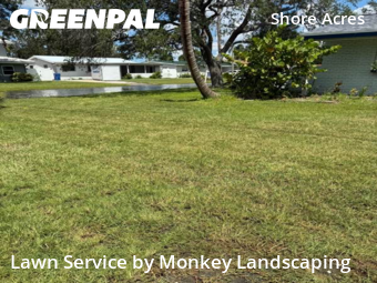 Grass Cut nearby St. Petersburg, FL, 