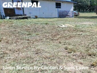 Lawn Cut nearby San Antonio, TX, 