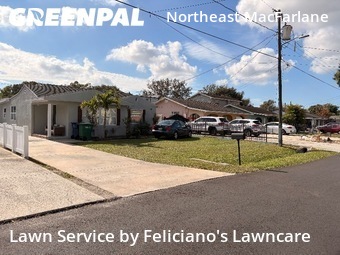 Lawn Mow nearby Tampa, FL, 