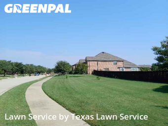 Grass Cutin Roanoke,76262,Yard Cutting by Texas Lawn Service, work completed in Jan , 2026