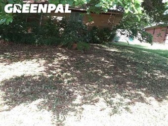 Lawn Maintenance nearby Denton, TX, 