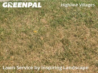 Lawn Maintenancein Aurora,80010,Yard Cutting by Inspiring Landscape, work completed in Jul , 2026