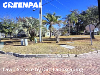 Lawn Mowing Servicein Ocoee,34761,Yard Cutting by Dae Landscaping, work completed in Feb , 2026