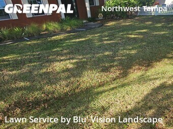 Grass Cut nearby Tampa, FL, 