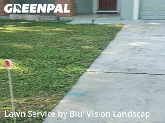 Lawn Cut nearby Tampa, FL, 