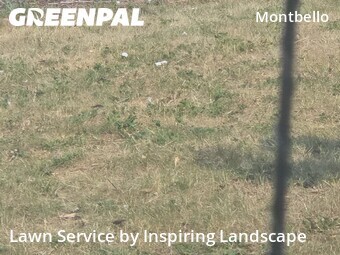 Lawn Service nearby Denver, CO, 