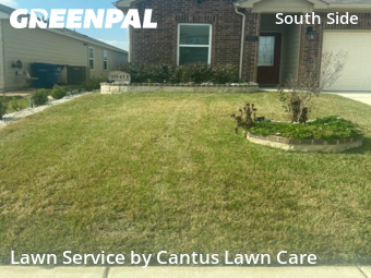 Lawn Mowingin San Antonio,78223,Lawn Maintenance by Cantus Lawn Care , work completed in Jan , 2026
