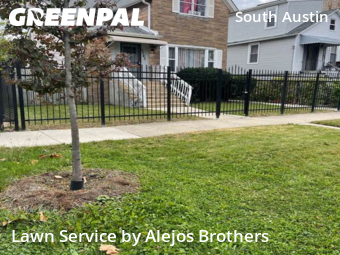 Lawn Care Servicein Chicago,60644,Lawn Maintenance by Alejos Brothers, work completed in Feb , 2026