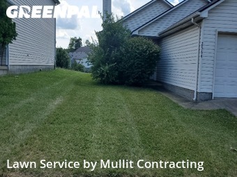 Lawn Mow nearby Lexington, KY, 