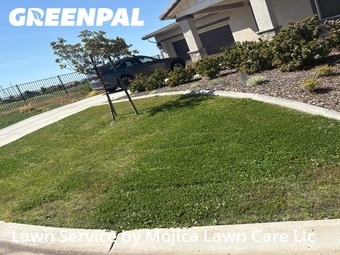 Work completed by the-yard-cutting-businesses-in-Roseville-CA