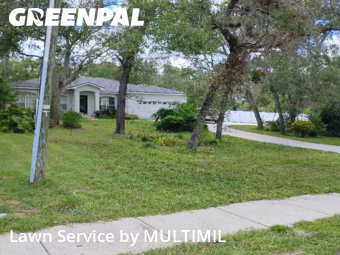 Mowing Services in Temple Terrace, 33617, Yard Mowing by MULTIMIL , work completed in Nov , 2025