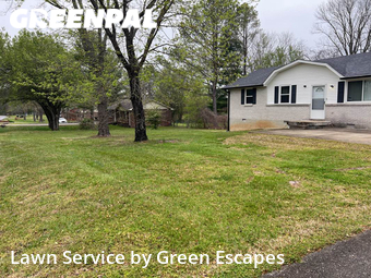 Grass Cutting nearby Smyrna, TN, 