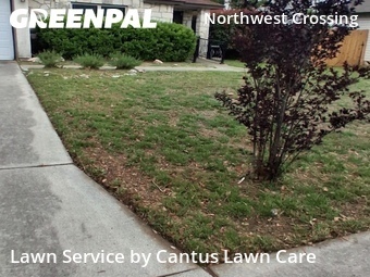 Lawn Mow nearby San Antonio, TX, 
