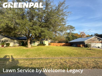 Front Yard Mowing in Alachua, 32615, Lawn Cutting by Welcome Legacy , work completed in Nov , 2025
