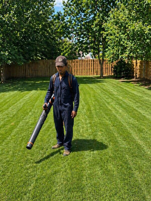 GreenPal customer review profile photo for Philip Dewberry