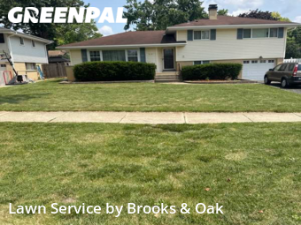 Lawn Care Service nearby Wheaton, IL, 