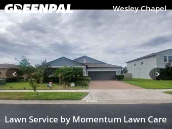 Lawn Mowingin Wesley Chapel,33543,Yard Cutting by Momentum Lawn Care, work completed in Jan , 2026